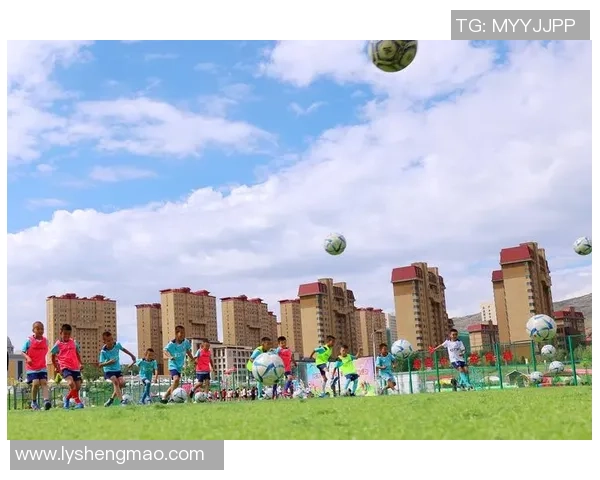 贝尔驰骋绿茵场 球场传奇与梦想之歌 贝尔驰骋绿茵场 球场传奇与梦想之歌