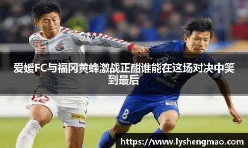 爱媛FC与福冈黄蜂激战正酣谁能在这场对决中笑到最后